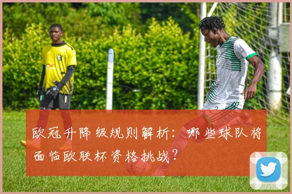 欧冠升降级规则解析：哪些球队将面临欧联杯资格挑战？