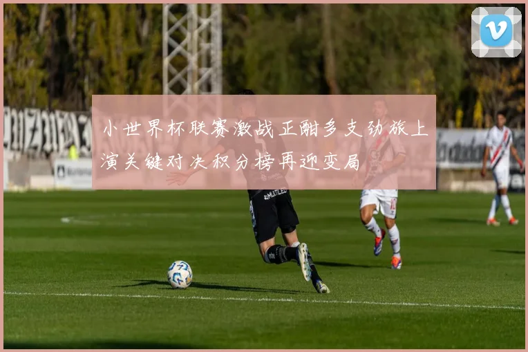 小世界杯联赛激战正酣多支劲旅上演关键对决积分榜再迎变局