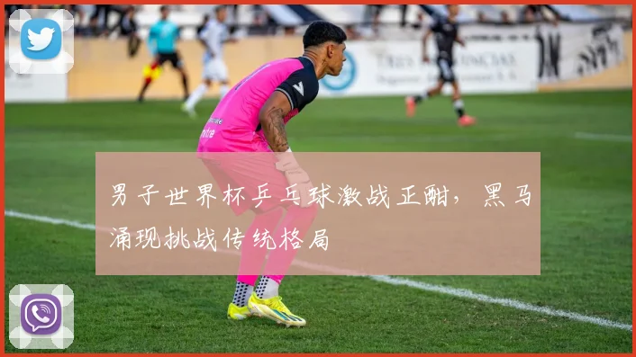 男子世界杯乒乓球激战正酣,黑马涌现挑战传统格局