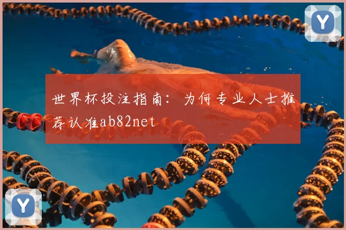 世界杯投注指南：为何专业人士推荐认准ab82net
