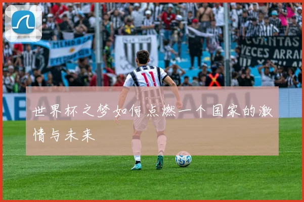 世界杯之梦如何点燃一个国家的激情与未来