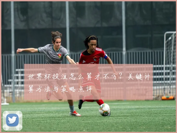 世界杯投注怎么算才不亏？关键计算方法与策略点评