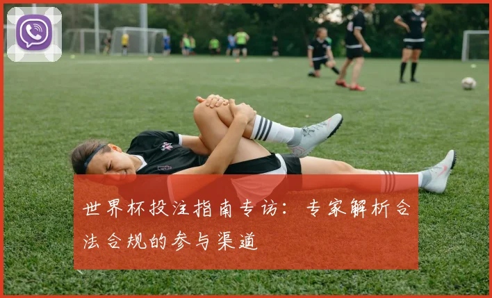 世界杯投注指南专访：专家解析合法合规的参与渠道