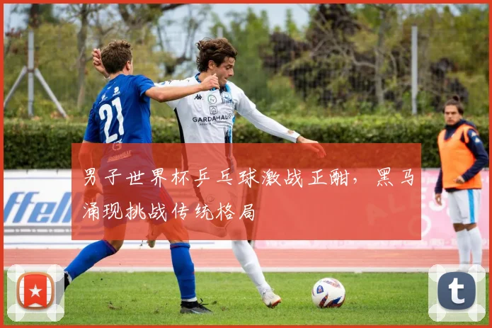 男子世界杯乒乓球激战正酣,黑马涌现挑战传统格局