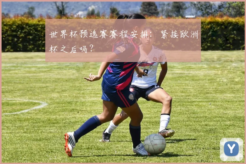 世界杯预选赛赛程安排:紧接欧洲杯之后吗?