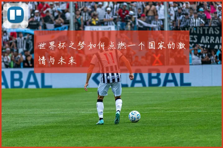 世界杯之梦如何点燃一个国家的激情与未来